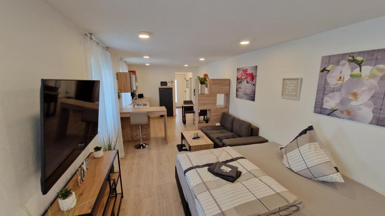 Appartment-Ferienwohnung Mit Kueche, Bad, Kostenlos Wlan, Modern Eingerichtet Roding Exteriör bild